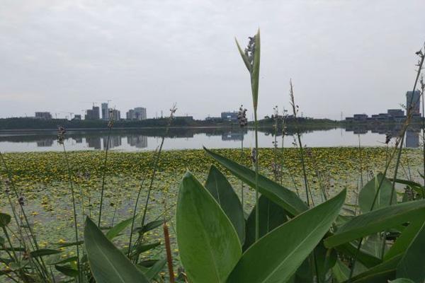 2022兴隆湖湿地公园开放时间 - 门票 - 交通 - 地址