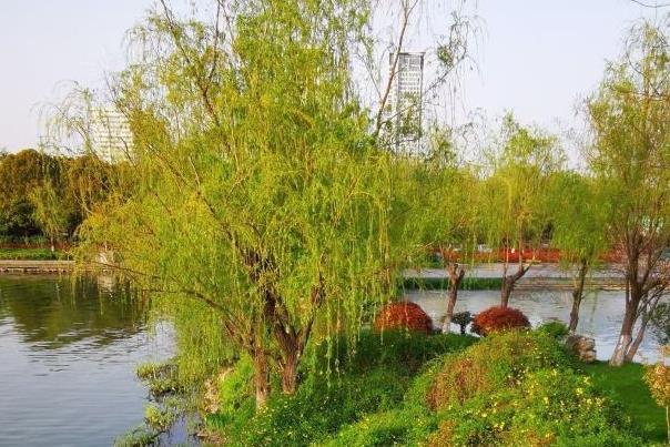 南京避暑公園有哪些景點