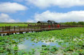 天津周边夏季好玩的地方 这14个好去处不要错过了