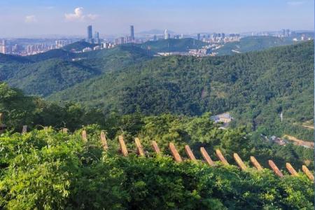 2024大连莲花山观景台旅游攻略 - 门票价格 - 开放时间 - 地址 - 交通