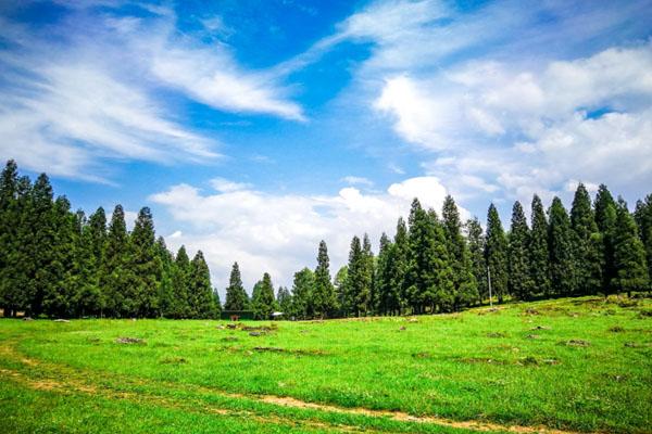 2023重慶夏季露營好去處