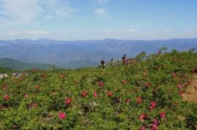 北京夏天去哪里旅游好玩又凉快