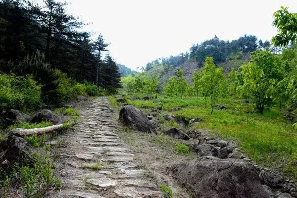 百丈嶺古道路線圖 百丈嶺在哪里