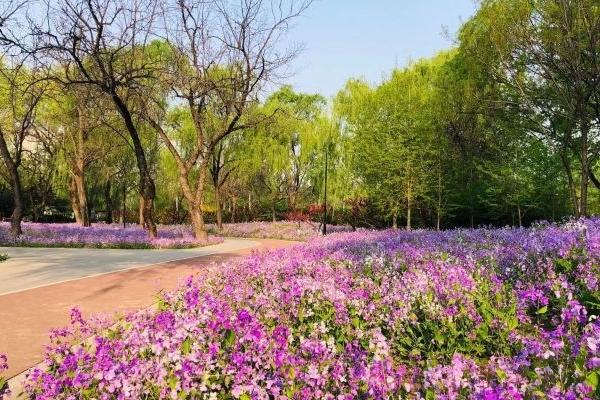 北京哪个公园最值得去玩