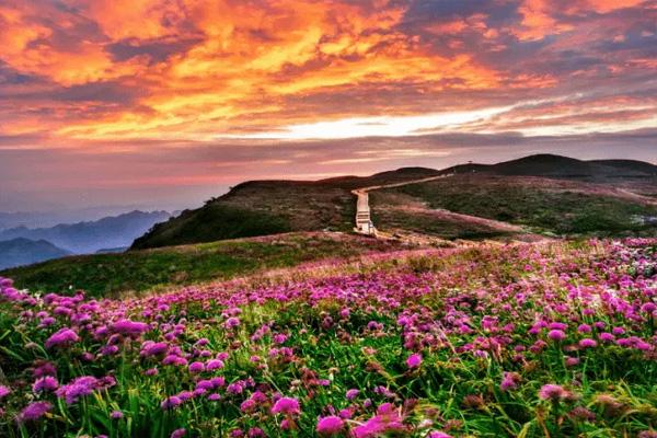 韭菜坪景区最佳旅游时间