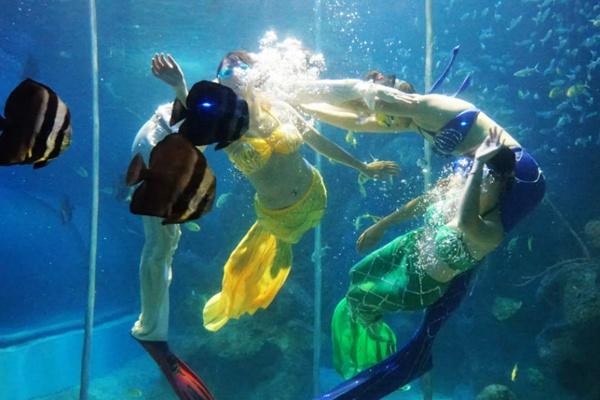福州左海海底世界美人鱼表演时间