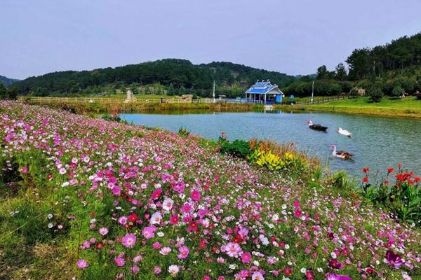 木兰草原门票+交通+游客须知+停车场信息