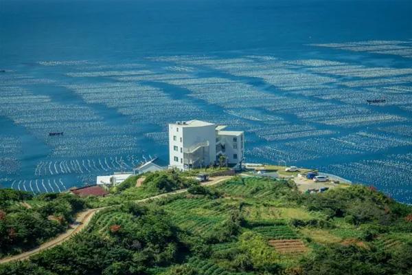 枸杞島船票網上怎么買 枸杞島船票多少錢一張