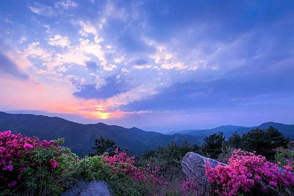 黃陂云霧山門票多少錢一張?木蘭云霧山門票多少錢?