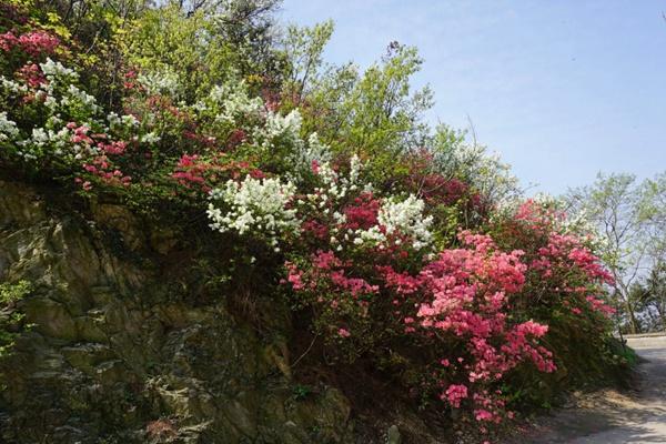 木兰云雾山风景区里面收费吗?除了门票还有哪些收费项目?