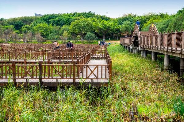 廈門哪些地方適合帶孩子去玩 這19個親子游好去處值得去