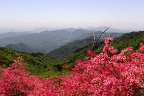 木兰文化生态旅游区门票多少