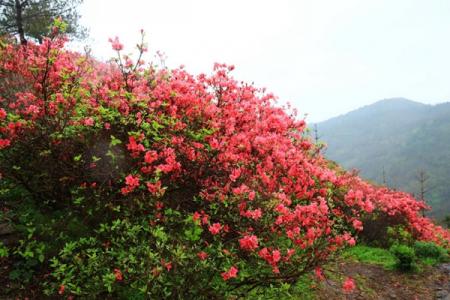 木兰文化生态旅游区游玩攻略-门票价格-景点信息