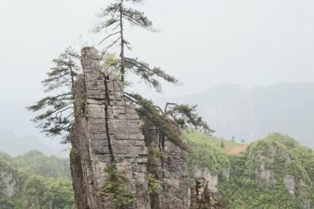 恩施七星寨景区介绍 景区简介