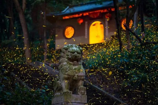 江苏适合夏季游玩的地方 避暑旅游好去处推荐