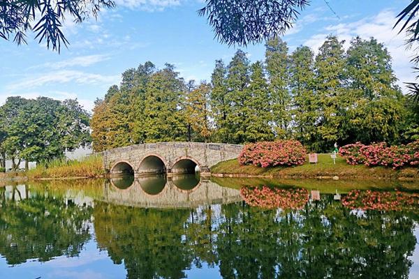 华南国家植物园正式挂牌开放