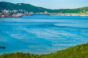 浙江夏季小众但绝美的旅游地点