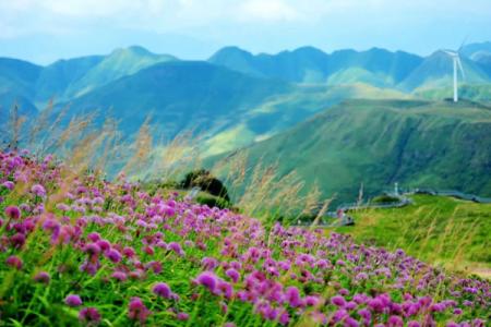 阿西里西韭菜坪旅游攻略-门票价格-景点信息