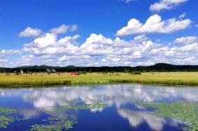 7月12日起塞罕壩機(jī)械林場景點(diǎn)免費(fèi)開放了 這份預(yù)約流程請收好