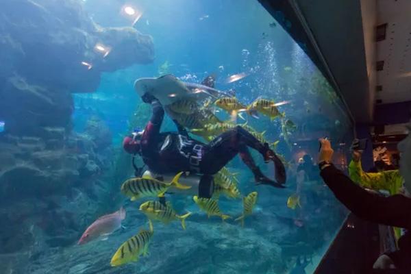 青岛海底世界有几个场馆