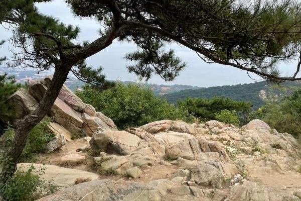 北戴河聯峰山公園門票多少錢及門票優惠政策