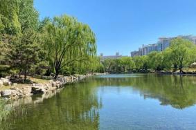 2022北京柳蔭公園游玩攻略 - 開放時間 - 具體位置
