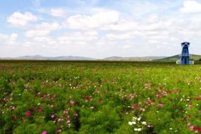 京北草原湿地公园门票多少钱