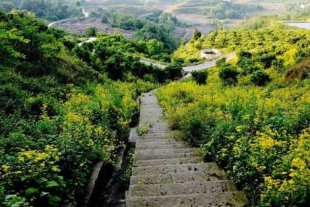 2023大云山国家森林公园旅游攻略 - 门票价格 - 开放时间 - 景点介绍 - 简介 - 交通 - 地址 - 电话 - 天气
