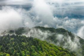 2022大云山國家森林公園旅游攻略 - 門票價格 - 開放時間 - 地址