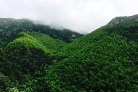 2023茶陵云阳山景区游玩攻略 - 门票价格 - 开放时间 - 景点介绍 - 简介 - 交通 - 地址 - 电话 - 天气