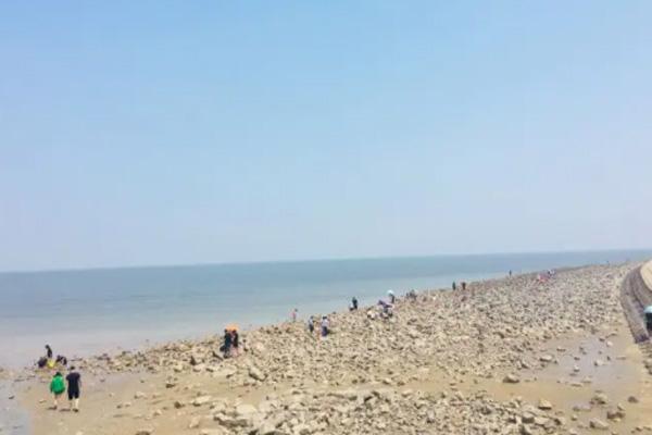 2022天津东疆湾沙滩可以游泳吗