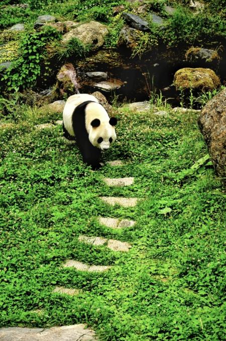 2023官门山景区旅游攻略 - 门票价格 - 优惠政策 - 简介 - 地址 - 交通 - 天气