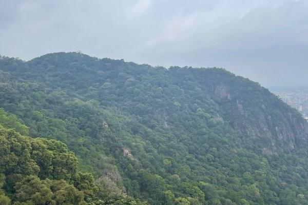 佛山避暑勝地有哪些景點