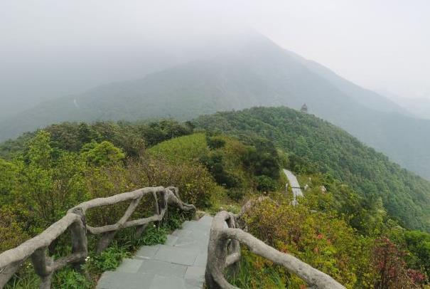 深圳梧桐山登山路線攻略