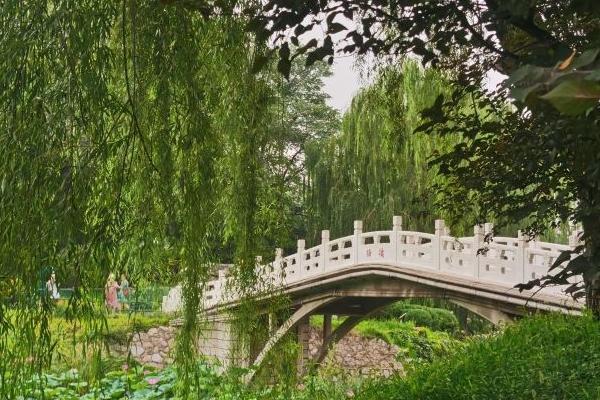 北京紫竹院公园游船价格和时间