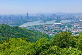 2022南京钟山风景
