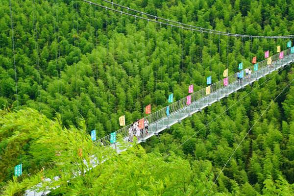 安吉大竹海旅游攻略 一日游攻略