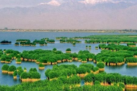 2022沙湖国家湿地公园游玩攻略 - 门票价格 - 游玩时间 - 游玩项目 - 地址 - 交通