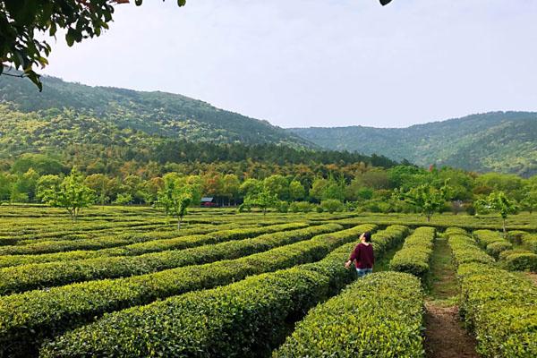 蘇州適合登山的15個好地方