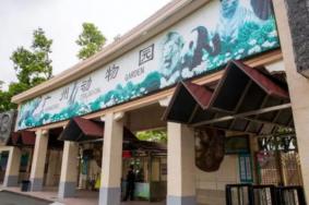 广州动物园开放时间及门票2022