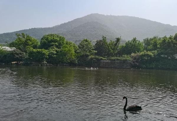 无锡夏天玩水的地方有哪些