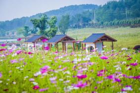 湖北夏季避暑胜地哪里好