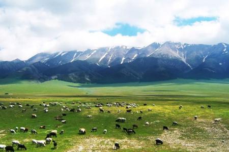 巴里坤草原旅游攻略-门票价格-景点信息