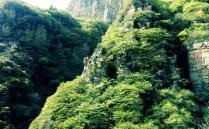 2022白云龕村游玩攻略 - 門票價格 - 徒步攻略 - 住宿 -  簡介 - 地址 - 天氣