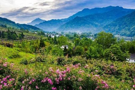 2023彭州龙门山风景区游玩攻略 - 门票价格 - 开放时间 - 景点介绍 - 简介 - 交通 - 地址 - 电话 - 天气