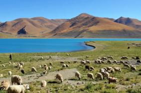 西藏自驾游最美路线推荐