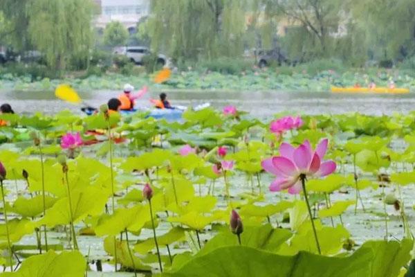 北京可以划船的公园 附游船票价