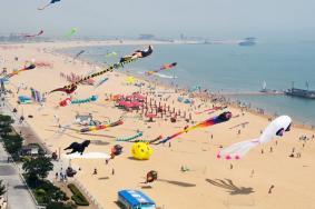 2024东疆港人工沙滩游玩攻略-门票价格-景点信息