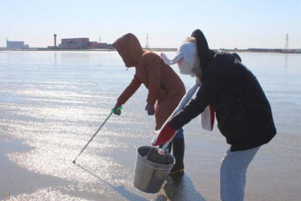 天津赶海拾贝最佳地点