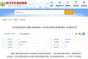 武汉市儿童乘车免票新标准9月起实施